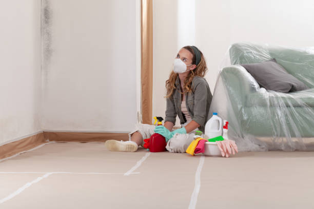 Reliable Bathroom Mold Removal contractor in Belford, NJ by Mold Remediation HQ